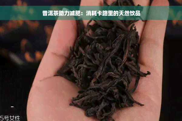 普洱茶助力减肥：消耗卡路里的天然饮品