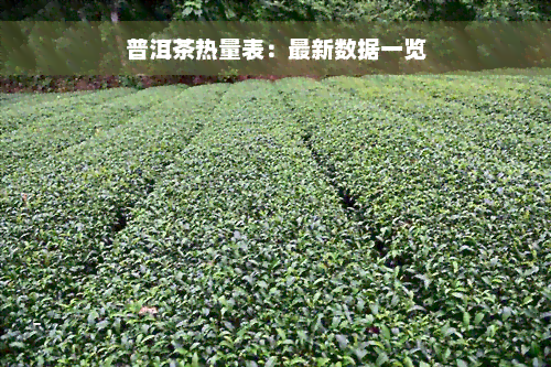 普洱茶热量表：最新数据一览