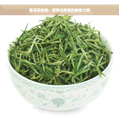 普洱茶能量：探寻古树茶的秘密力量