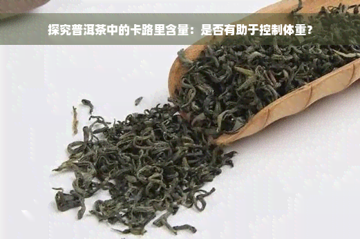 探究普洱茶中的卡路里含量：是否有助于控制体重？