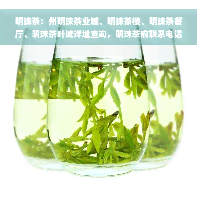 明珠茶：州明珠茶业城、明珠茶楼、明珠茶餐厅、明珠茶叶城详址查询，明珠茶府联系电话