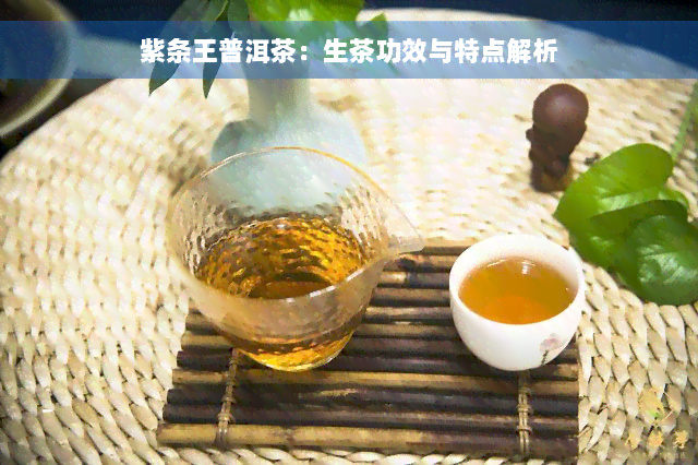 紫条王普洱茶：生茶功效与特点解析