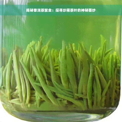 揭秘普洱茶紫金：探寻珍稀茶叶的神秘面纱