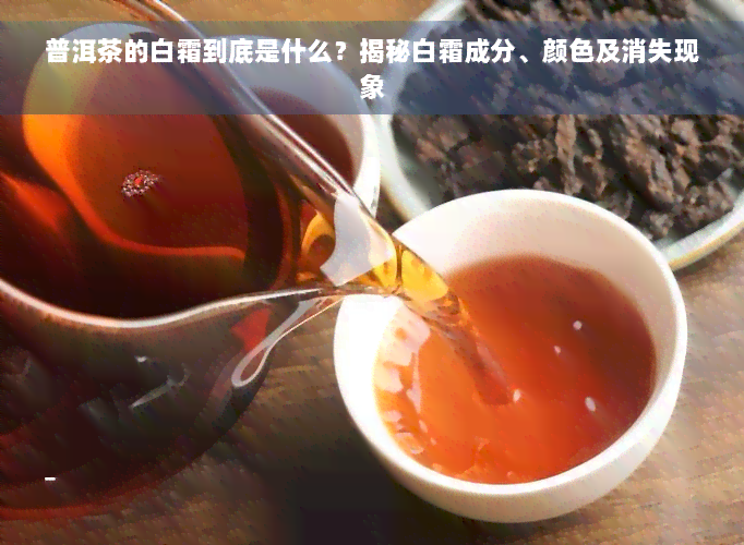 普洱茶的白霜到底是什么？揭秘白霜成分、颜色及消失现象