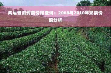 鸿运普洱砖茶价格查询：2008与2010年熟茶价值分析