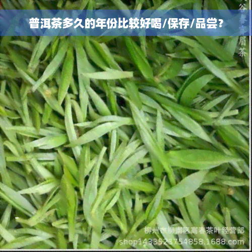 普洱茶多久的年份比较好喝/保存/品尝？