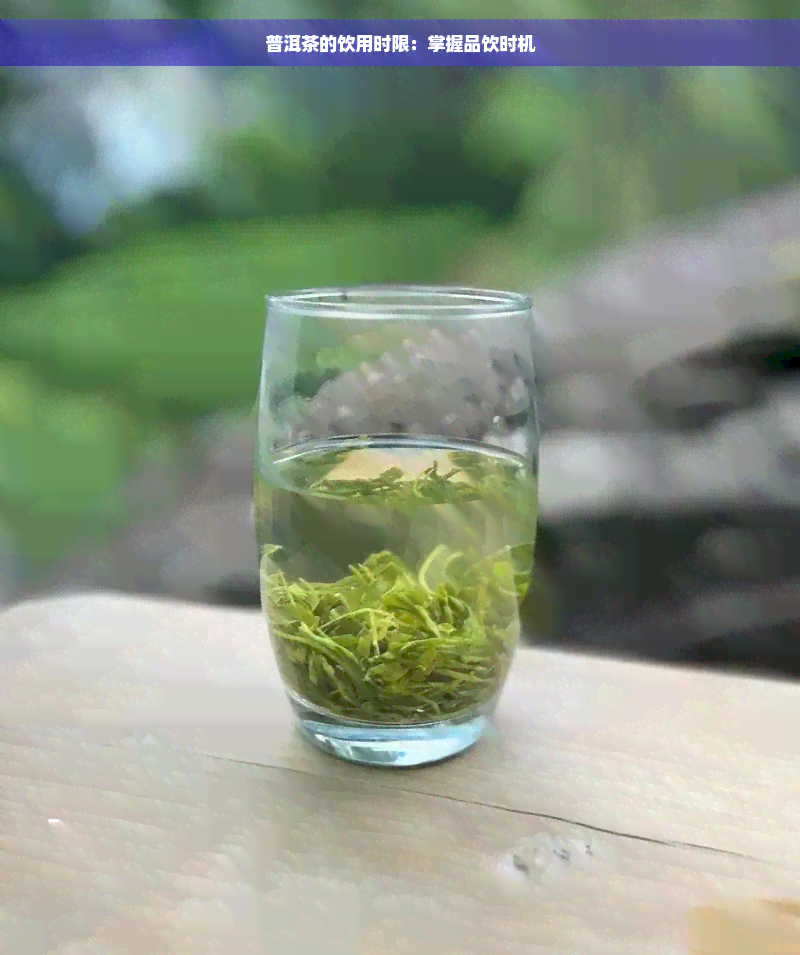 普洱茶的饮用时限：掌握品饮时机