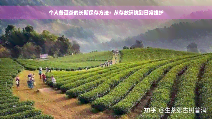 个人普洱茶的长期保存方法：从存放环境到日常维护