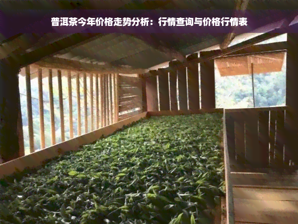 普洱茶今年价格走势分析：行情查询与价格行情表