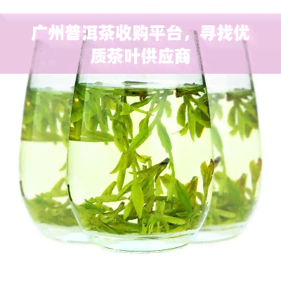 广州普洱茶收购平台，寻找优质茶叶供应商