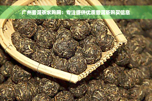 广州普洱茶求购网：专注提供优质普洱茶购买信息