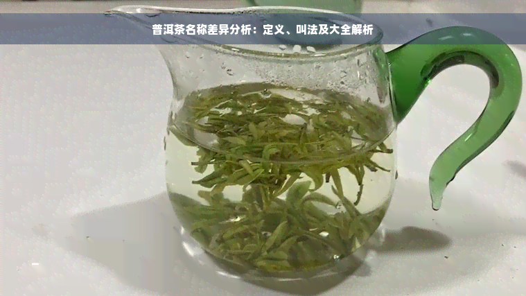 普洱茶名称差异分析：定义、叫法及大全解析