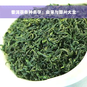 普洱茶各种名字：由来与图片大全