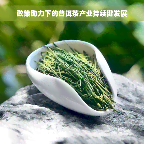 政策助力下的普洱茶产业持续健发展