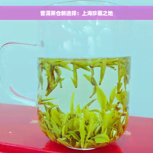 普洱茶仓新选择：上海珍藏之地