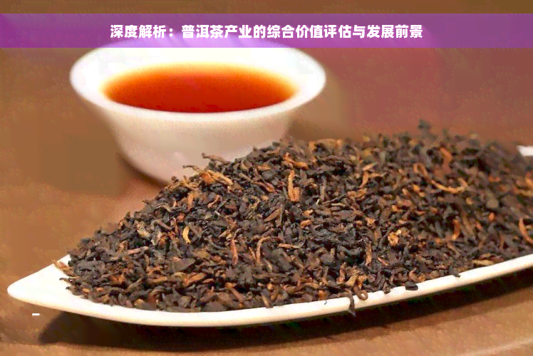 深度解析：普洱茶产业的综合价值评估与发展前景