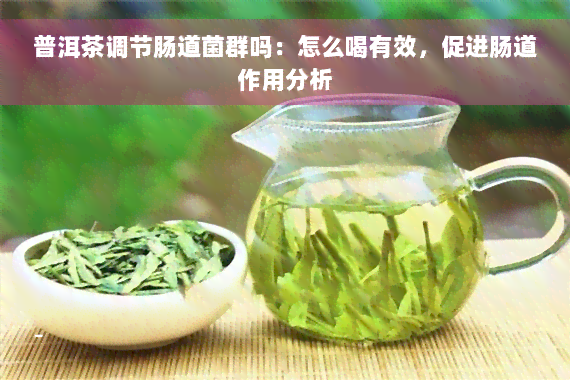 普洱茶调节肠道菌群吗：怎么喝有效，促进肠道作用分析