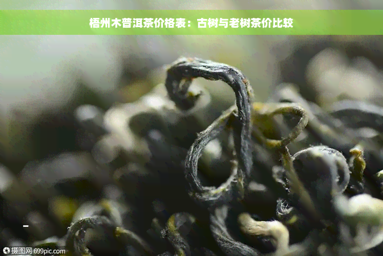 梧州木普洱茶价格表：古树与老树茶价比较