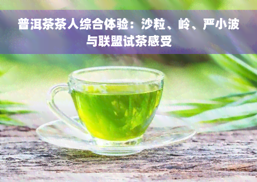 普洱茶茶人综合体验：沙粒、岭、严小波与联盟试茶感受