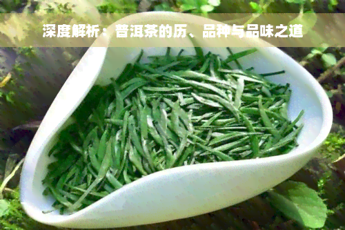 深度解析：普洱茶的历、品种与品味之道