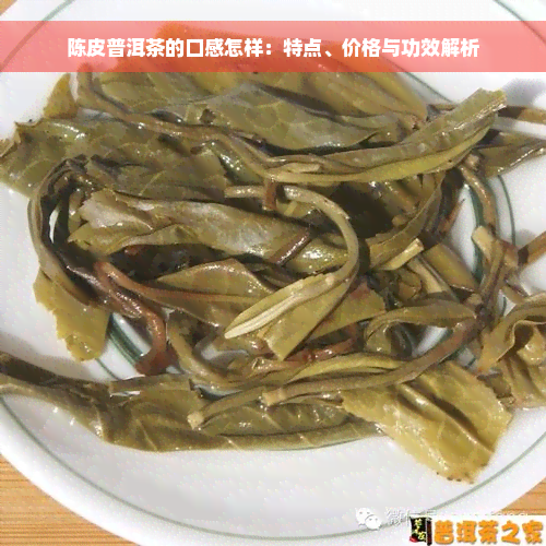 陈皮普洱茶的口感怎样：特点、价格与功效解析