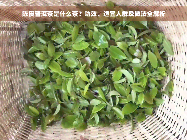 陈皮普洱茶是什么茶？功效、适宜人群及做法全解析