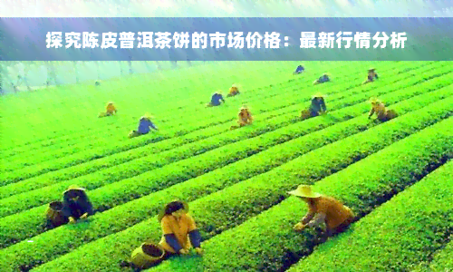 探究陈皮普洱茶饼的市场价格：最新行情分析