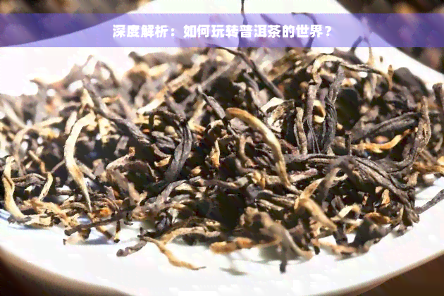 深度解析：如何玩转普洱茶的世界？