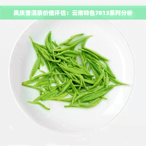 凤庆普洱茶价值评估：云南特色7813系列分析