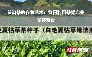 普洱茶的存放艺术：如何利用茶架完美保存茶香