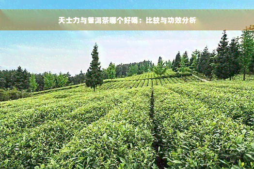 天士力与普洱茶哪个好喝：比较与功效分析