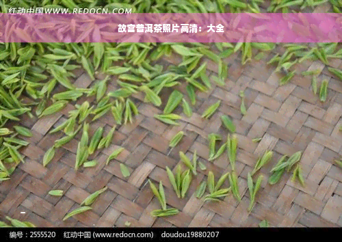 故宫普洱茶照片高清：大全