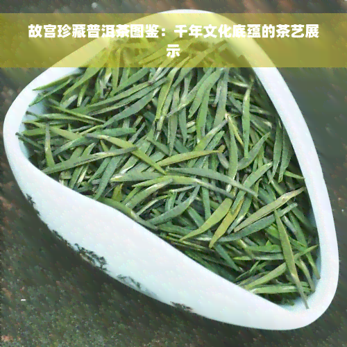 故宫珍藏普洱茶图鉴：千年文化底蕴的茶艺展示