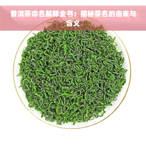 普洱茶命名解释全书：揭秘茶名的由来与含义