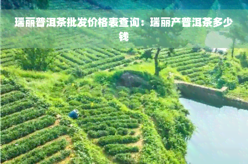 瑞丽普洱茶批发价格表查询：瑞丽产普洱茶多少钱