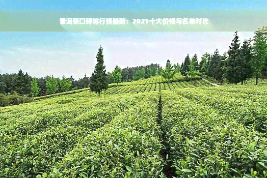 普洱茶口碑排行榜最新：2021十大价格与名单对比