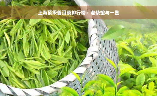 上海顶级普洱茶排行榜：老茶馆与一览