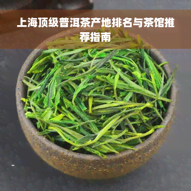 上海顶级普洱茶产地排名与茶馆推荐指南