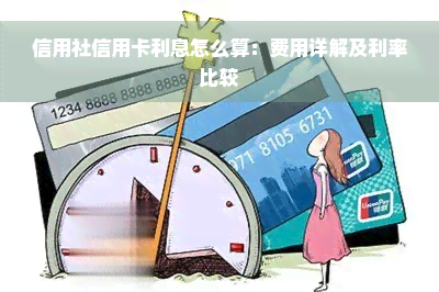 信用社信用卡利息怎么算：费用详解及利率比较