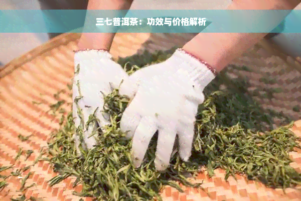 三七普洱茶：功效与价格解析