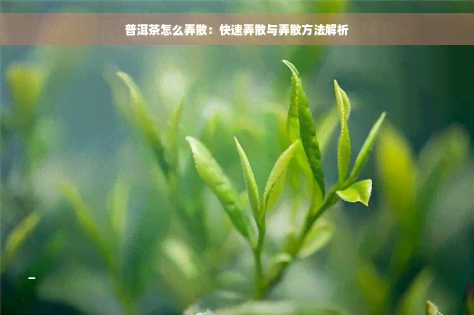 普洱茶怎么弄散：快速弄散与弄散方法解析