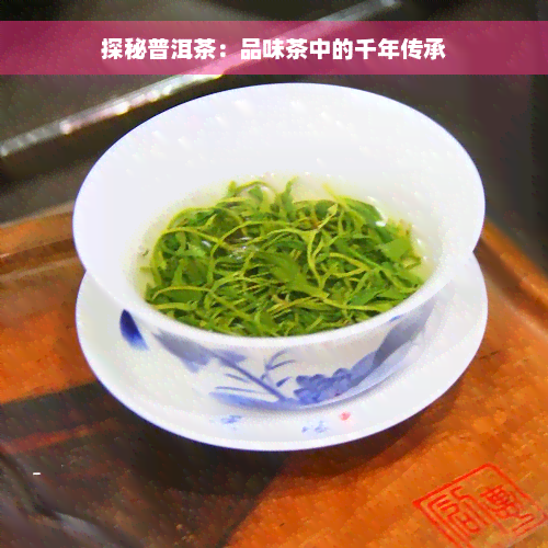 探秘普洱茶：品味茶中的千年传承