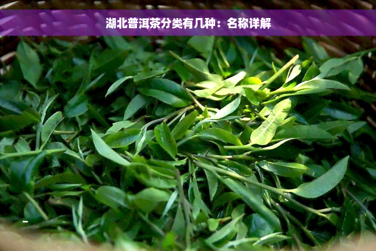 湖北普洱茶分类有几种：名称详解