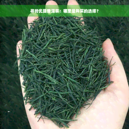 寻找优质普洱茶：哪里是购买的选择？