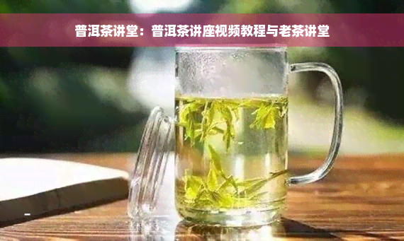 普洱茶讲堂：普洱茶讲座视频教程与老茶讲堂