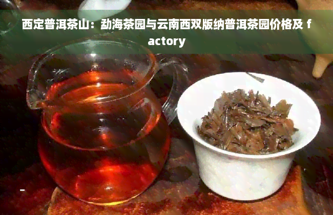 西定普洱茶山：勐海茶园与云南西双版纳普洱茶园价格及 factory