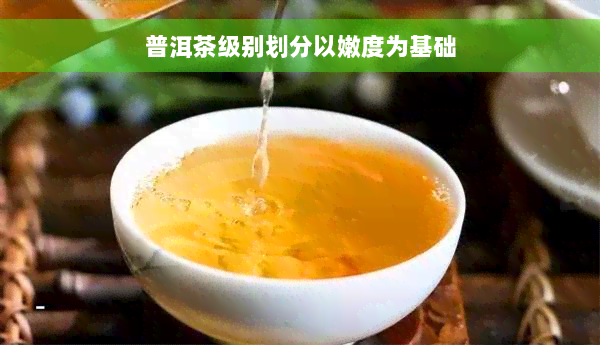 普洱茶级别划分以嫩度为基础