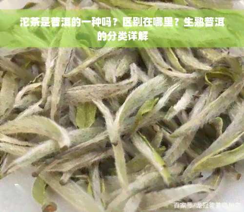 沱茶是普洱的一种吗？区别在哪里？生熟普洱的分类详解