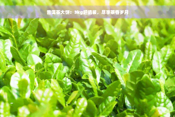 普洱茶大饼：3kg超值装，尽享茶香岁月