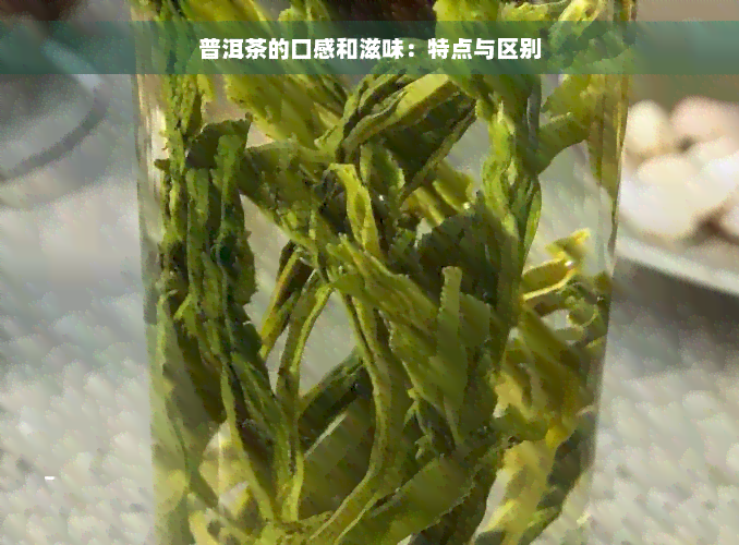 普洱茶的口感和滋味：特点与区别